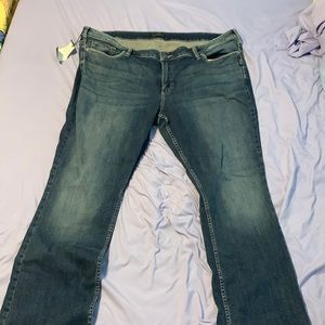 Silver Jean Co. Jeans. Size 24 Tall. Slim boot cut.